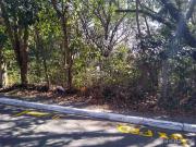 Terreno / Lote para Venda em Cotia/SP Vila Santo Antônio