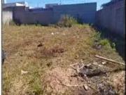 Terreno / Lote para Venda em Cravinhos/SP Jardim Aliança