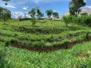 Terreno / Lote para Venda em Cuiabá/MT Alvorada