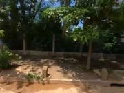 Terreno / Lote para Venda em Cuiabá/MT Boa Esperança