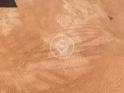 Terreno / Lote para Venda em Cuiabá/MT Distrito Industrial