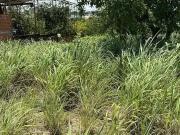 Terreno / Lote para Venda em Cuiabá/MT Parque...