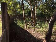 Terreno / Lote para Venda em Cuiabá/MT Vista Alegre