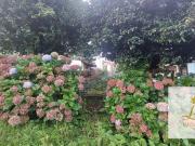 Terreno / Lote para Venda em Curitiba/PR Santo Inácio