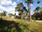 Terreno / Lote para Venda em Curitiba/PR Umbará