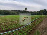 Terreno / Lote para Venda em Curitiba/PR Umbará