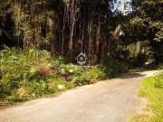 Terreno / Lote para Venda em Diadema/SP Eldorado