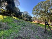 Terreno / Lote para Venda em Dois Irmãos/RS Loteamento...