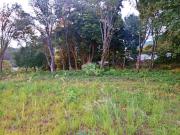 Terreno / Lote para Venda em Dois Irmãos/RS Vila Rosa