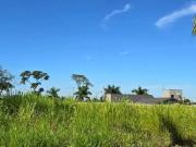 Terreno / Lote para Venda em Dourados/MS Jardim das...