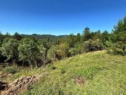 Terreno / Lote para Venda em Doutor Pedrinho/SC Centro