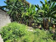 Terreno / Lote para Venda em Duque de Caxias/RJ Parque...