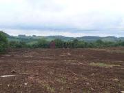 Terreno / Lote para Venda em Farroupilha/RS São Luiz