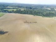 Terreno / Lote para Venda em Fazenda Rio Grande/PR Área...