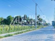 Terreno / Lote para Venda em Feira de Santana/BA Asa Branca