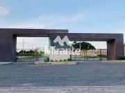 Terreno / Lote para Venda em Feira de Santana/BA Lagoa...