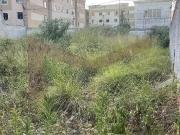 Terreno / Lote para Venda em Feira de Santana/BA Santo...