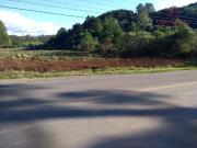 Terreno / Lote para Venda em Flores da Cunha/RS Nova...