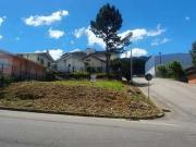 Terreno / Lote para Venda em Flores da Cunha/RS São...