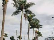 Terreno / Lote para Venda em Floresta/PR Jardim Nova...