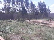 Terreno / Lote para Venda em Floresta/PR Jardim Nova...