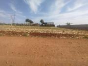 Terreno / Lote para Venda em Floresta/PR Zona Rural