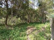Terreno / Lote para Venda em Florianópolis/SC Vargem Grande