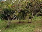 Terreno / Lote para Venda em Florianópolis/SC Vargem Pequena