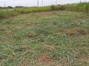 Terreno / Lote para Venda em Foz do Iguaçu/PR Porto Belo