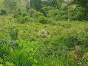 Terreno / Lote para Venda em Franco da Rocha/SP Jardim Sinki