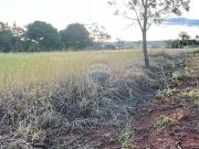 Terreno / Lote para Venda em Gama/DF Ponte Alta Terreno / Lote para Venda em Gama/DF Ponte Alta