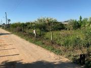 Terreno / Lote para Venda em Garopaba/SC Ressacada