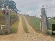 Terreno / Lote para Venda em Goianá/MG Nossa Senhora de...