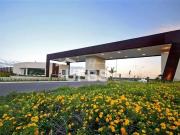 Terreno / Lote para Venda em Goiânia/GO Jardins Amsterdã