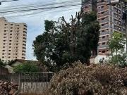 Terreno / Lote para Venda em Goiânia/GO Parque Amazônia