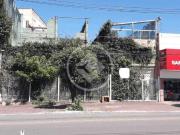 Terreno / Lote para Venda em Goiânia/GO Setor Central