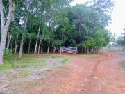 Terreno / Lote para Venda em Goiânia/GO Setor Centro Oeste