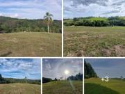 Terreno / Lote para Venda em Gravataí/RS Centro