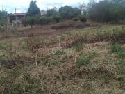Terreno / Lote para Venda em Gravatá/PE Alpes Suiços