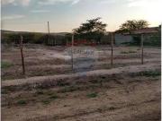 Terreno / Lote para Venda em Gravatá/PE Novo Gravatá
