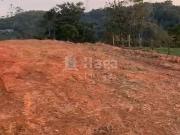 Terreno / Lote para Venda em Guabiruba/SC São Pedro