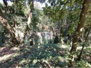 Terreno / Lote para Venda em Guapimirim/RJ Centro