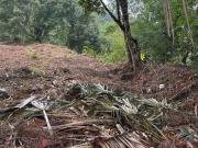 Terreno / Lote para Venda em Guaramirim/SC Amizade