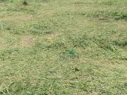 Terreno / Lote para Venda em Guaratinguetá/SP Vila Indiana