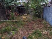 Terreno / Lote para Venda em Guarujá/SP Morrinhos