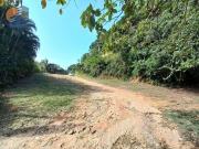 Terreno / Lote para Venda em Guarujá/SP Morro Sorocotuba