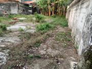 Terreno / Lote para Venda em Guarujá/SP Vila Santo Antônio