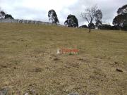 Terreno / Lote para Venda em Guarulhos/SP Água Chata