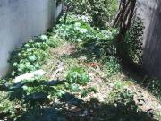 Terreno / Lote para Venda em Guarulhos/SP Jardim Bela Vista