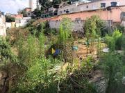 Terreno / Lote para Venda em Guarulhos/SP Jardim Gopoúva